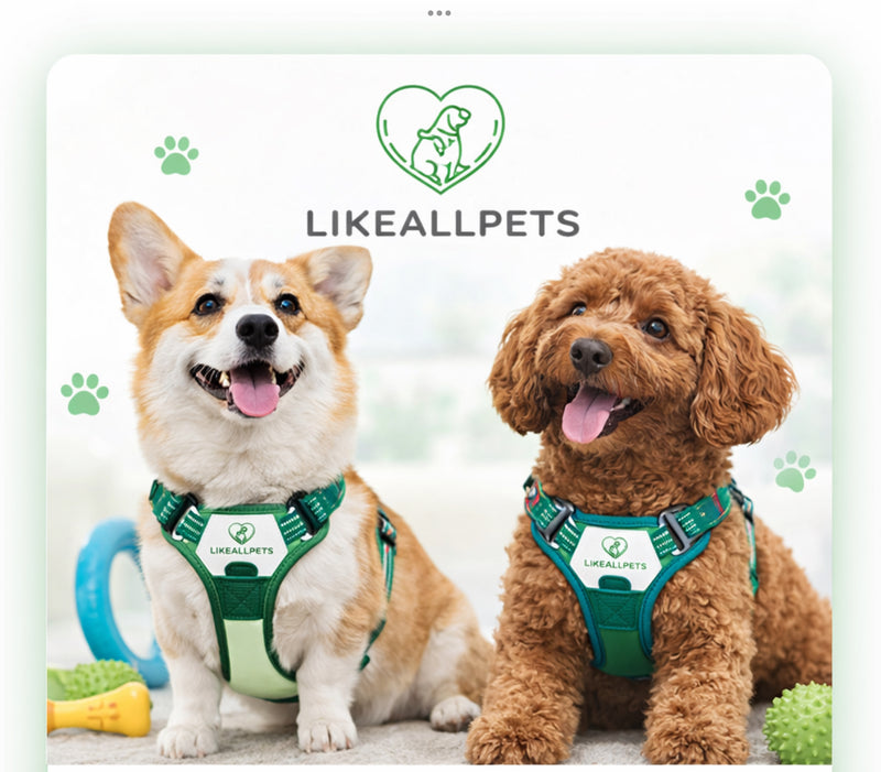 Local Pet Services