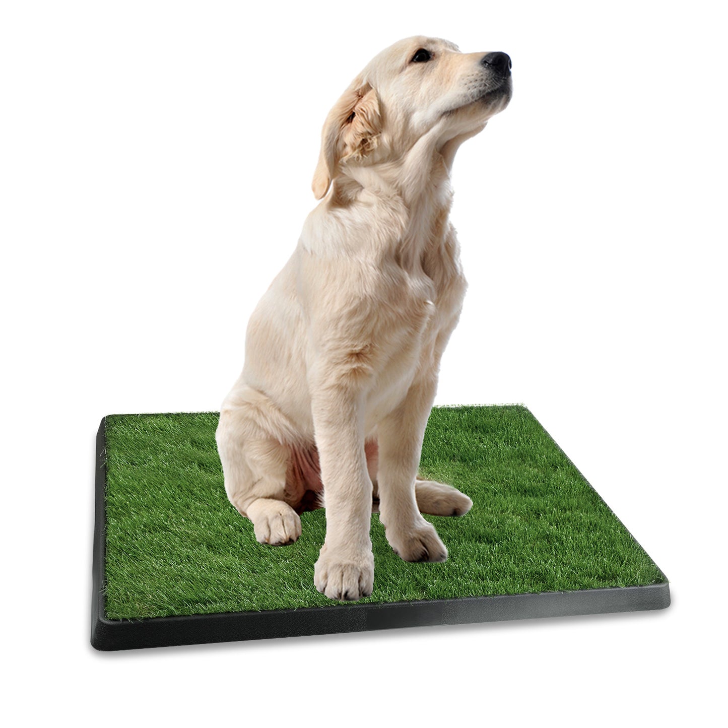 Dog Potty Training Artificial Grass Pad Mat