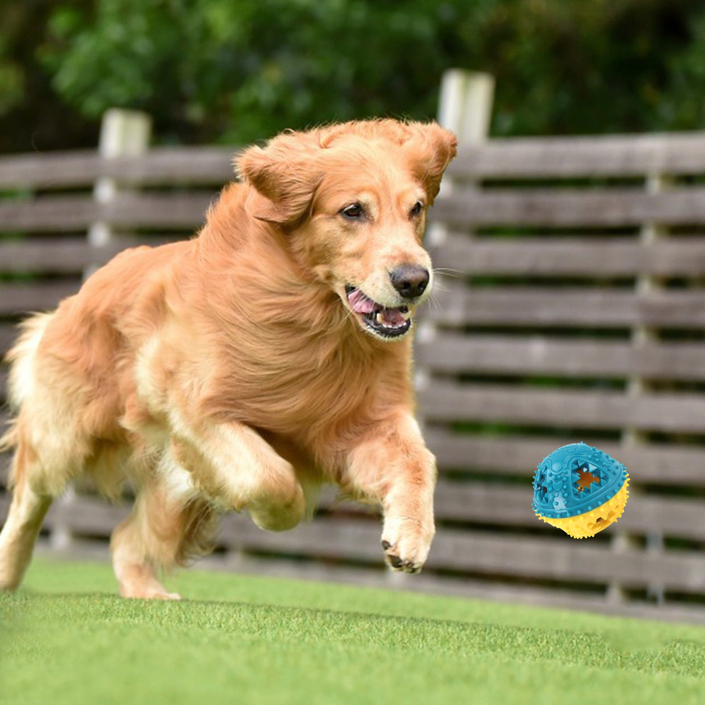 Interactive Dog Chew & Treat Dispensing Ball