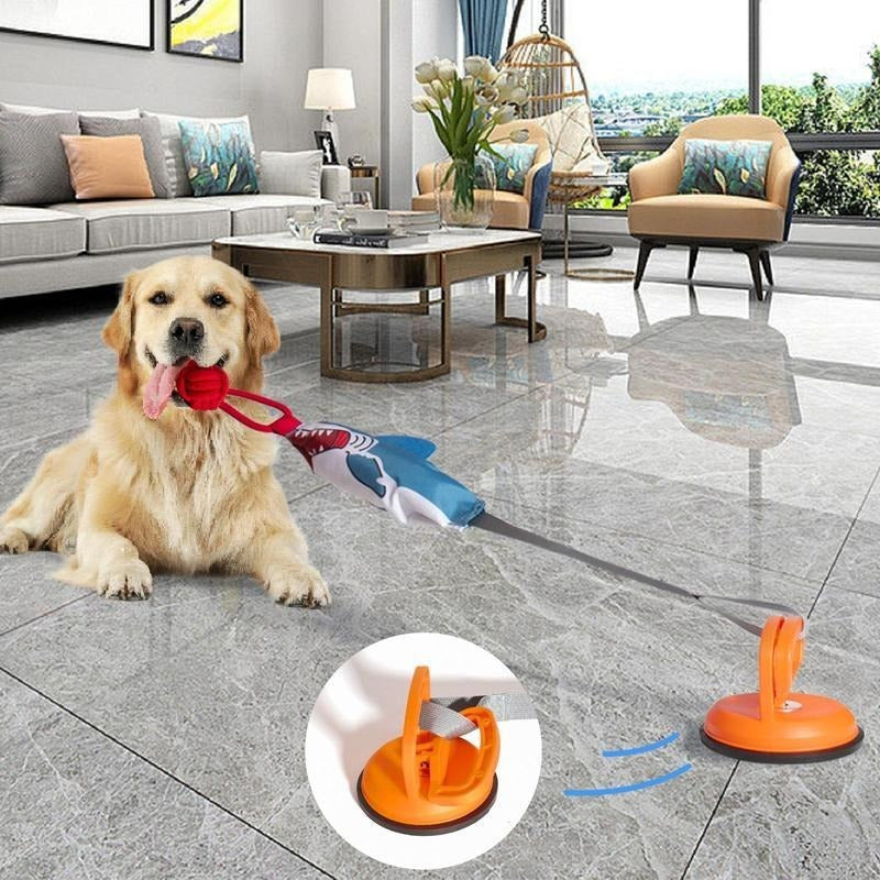 Shark Suction Cup Dog Chew Toy with Rope