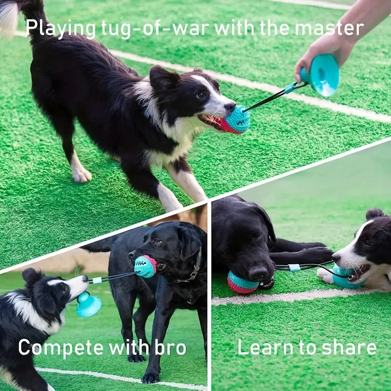 Durable Interactive Dog Chew & Tug Toy