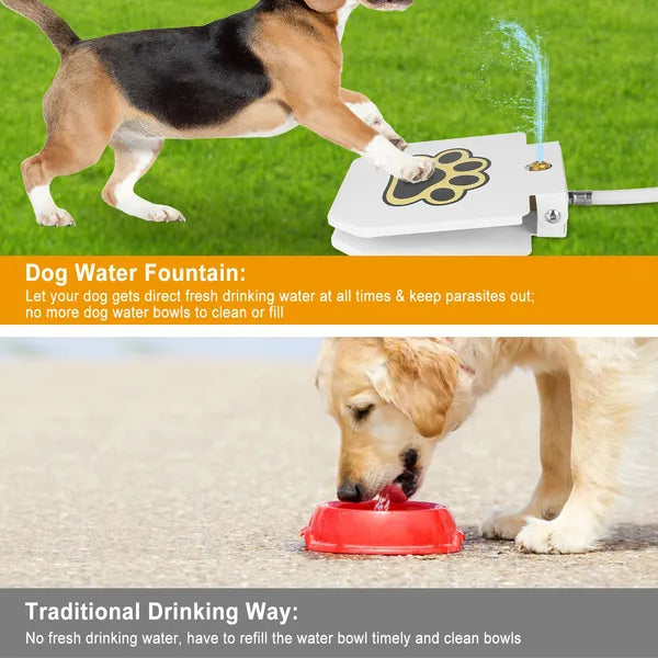 Outdoor Dog Water Fountain Step-On Dispenser