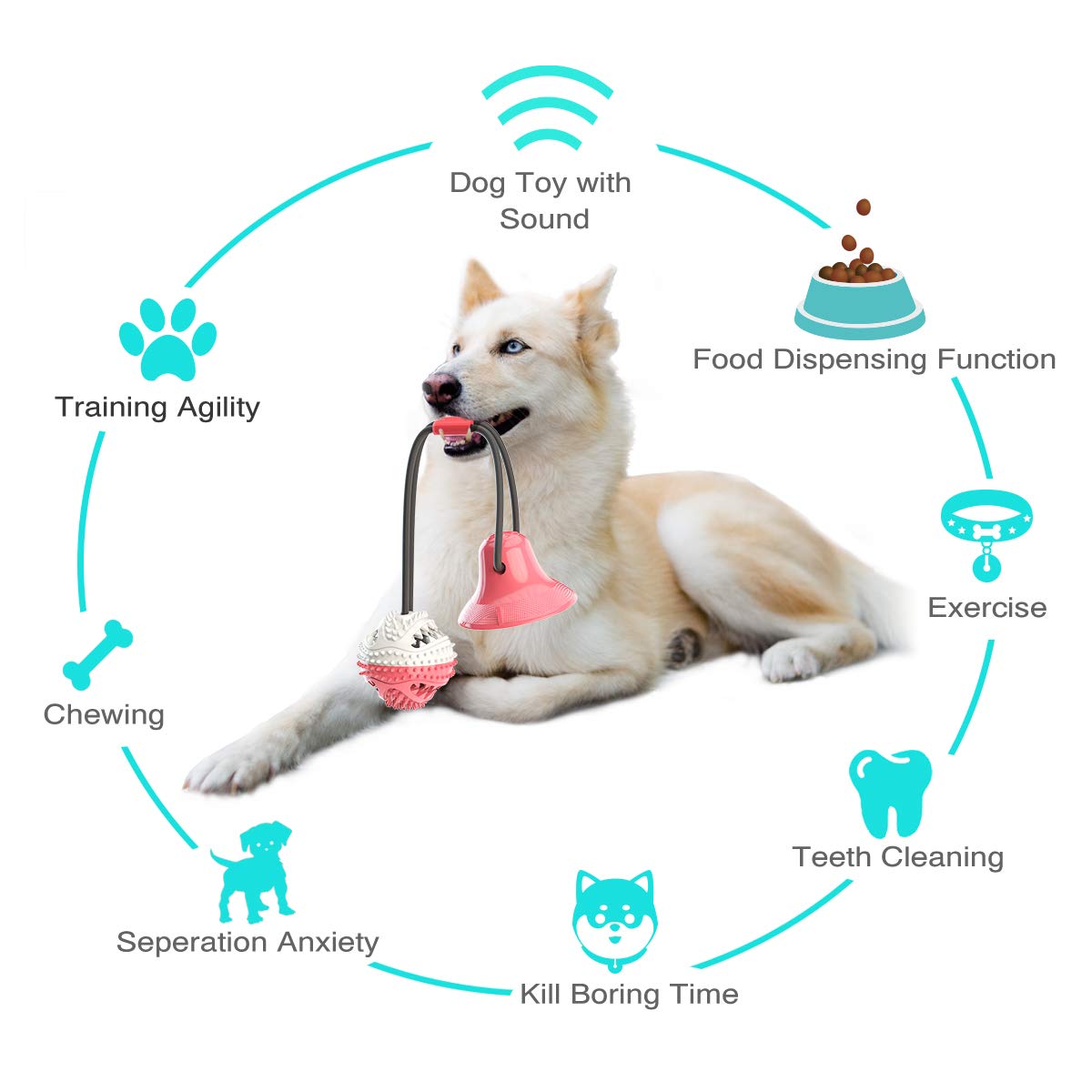 Durable Interactive Dog Chew & Tug Toy