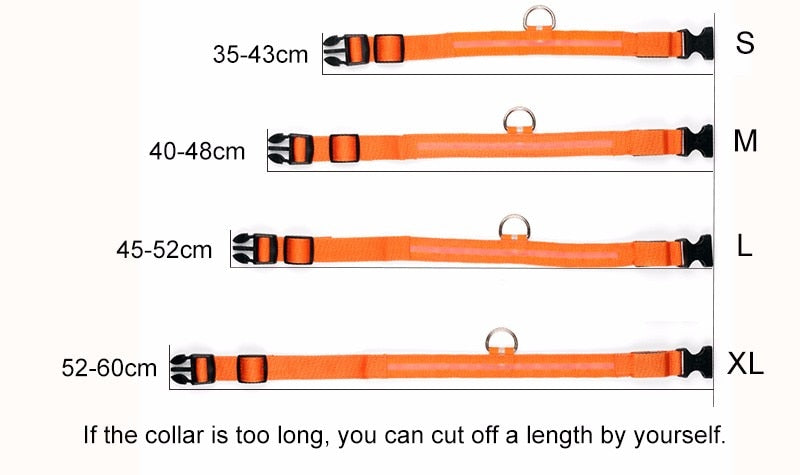 Dogs Nylon LED Collar