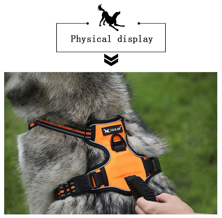 Dog’s Reflective Nylon Harness