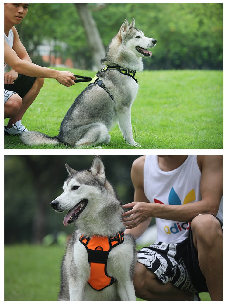 Dog’s Reflective Nylon Harness