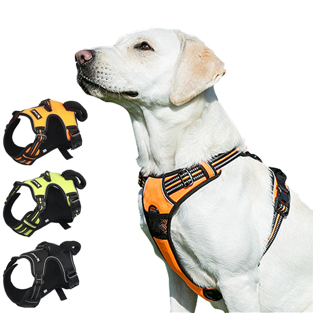 Dog’s Reflective Nylon Harness