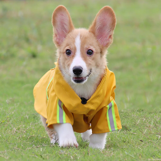 The Dog Face French Bulldog Waterproof Windproof New Designer Dog Clothes  Luxury Hoodies Pet Accessories Jacket Summer PSM Coat