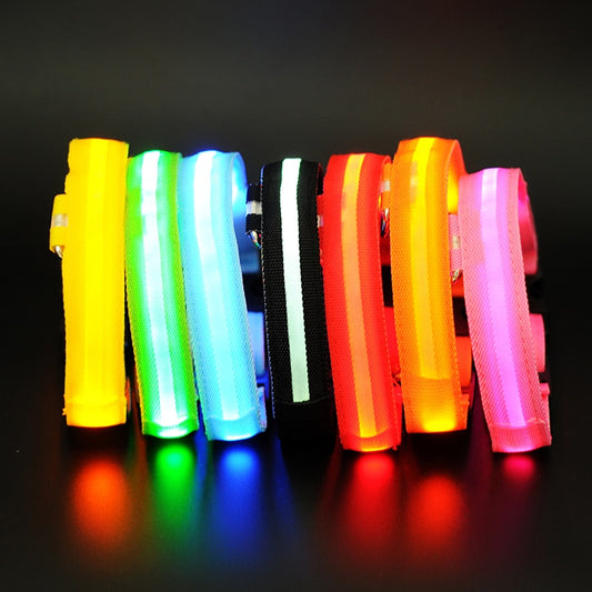 Dogs Nylon LED Collar