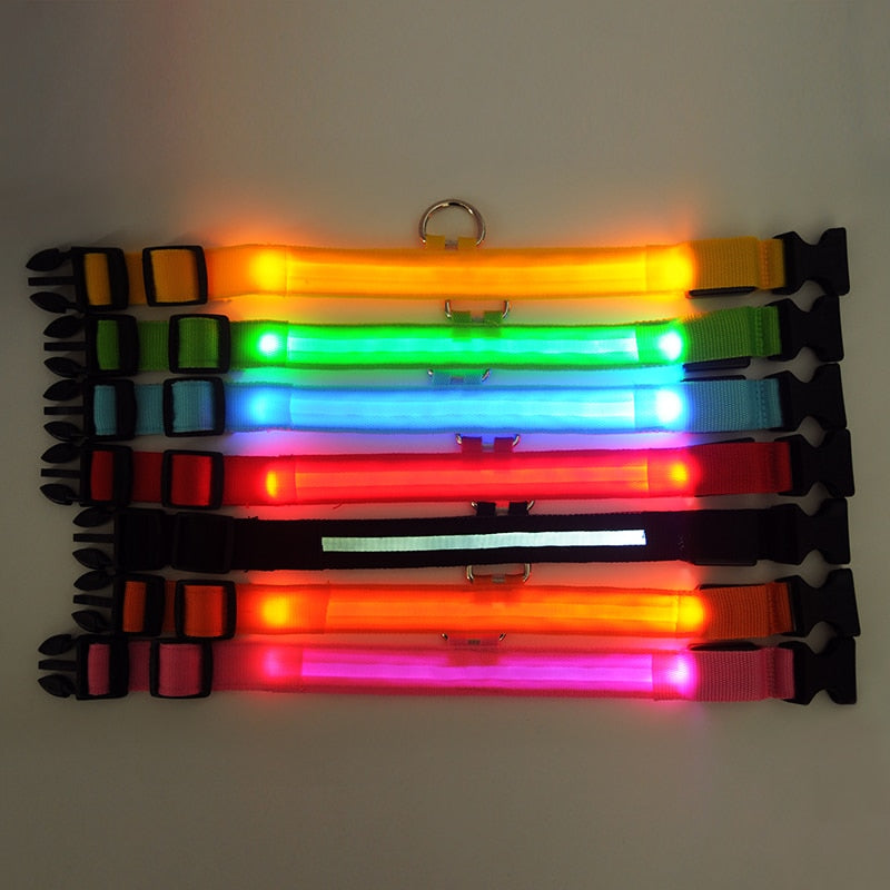 Dogs Nylon LED Collar