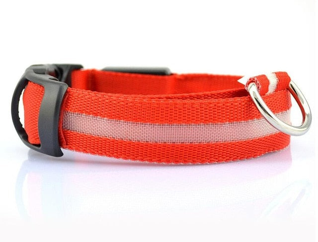 Dogs Nylon LED Collar