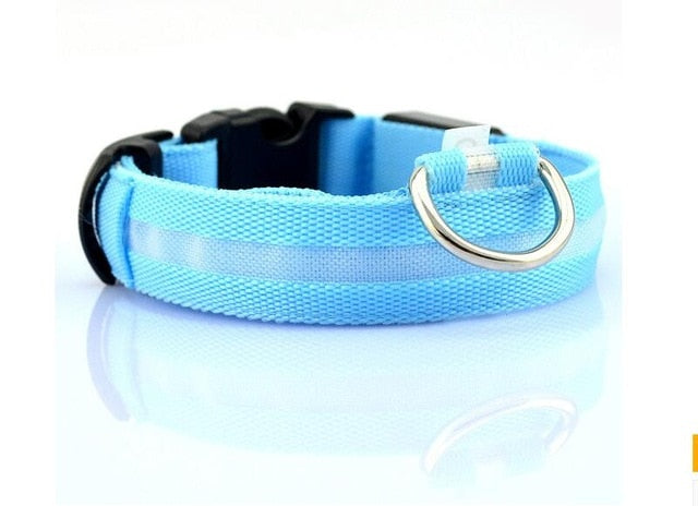 Dogs Nylon LED Collar