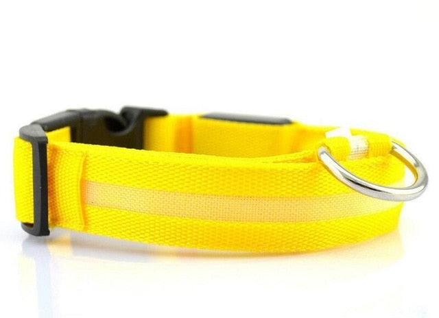 Dogs Nylon LED Collar