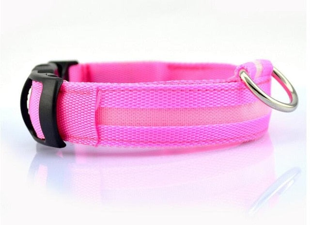 Dogs Nylon LED Collar